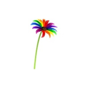 Rainbow Daisy